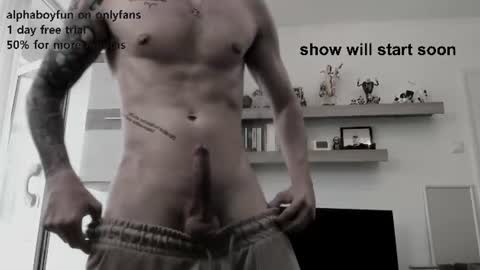 Snapshot of alphaboyfun chatting on June 2026 10:35:01 AM Andi online show from June 2026 10:35:01 AM