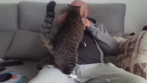 alsi72 online show from January 2026 01:48:02 PM