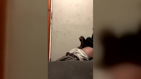 Snapshot of alwayshorny240177 chatting on February 2026 04:47:02 PM alwayshorny240177 online show from February 2026 04:47:02 PM