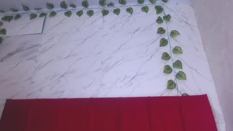 amandacanelacm101 online show from June 2026 12:19:01 AM