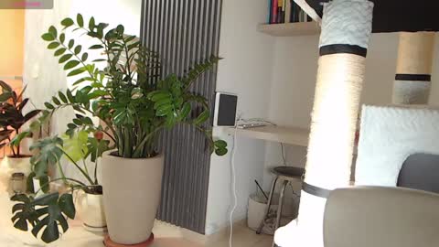 Snapshot of ambarhill chatting on January 2025 04:02:02 AM Ambar online show from January 2025 04:02:02 AM