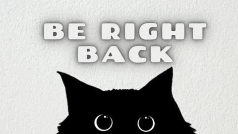 Snapshot of ambarsantany chatting on March 2025 11:49:01 PM AmbarSantany  online show from March 2025 11:49:01 PM