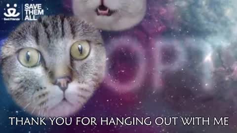 Amber online show from March 2025 03:08:01 AM