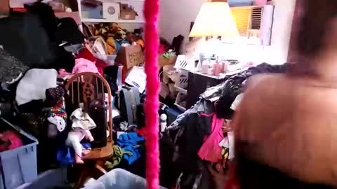 ambionce online show from March 2026 03:42:02 AM