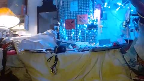 ambionce online show from March 2026 08:26:33 AM