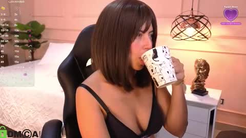 Snapshot of amelia_chillvibes chatting on February 2026 11:49:01 AM AMELIA online show from February 2026 11:49:01 AM