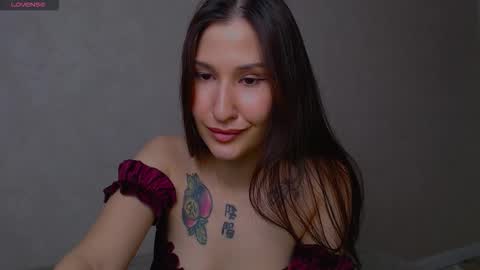 Snapshot of aminegulse chatting on November 2025 12:56:02 AM Camilla online show from November 2025 12:56:02 AM