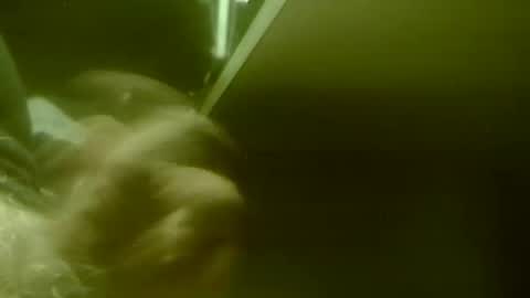 amolafica12 online show from November 2025 08:03:01 AM