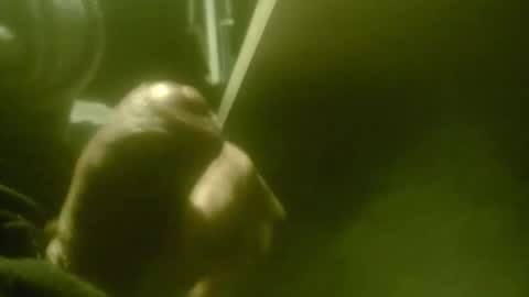 amolafica12 online show from December 2025 10:22:01 AM