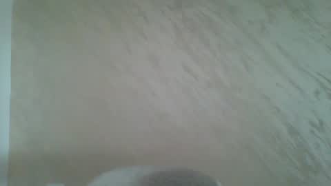 VelvetVibe online show from May 2026 07:48:02 AM