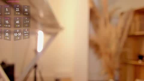 Snapshot of amy_kiitty chatting on January 2025 11:22:02 PM online show from January 2025 11:22:02 PM