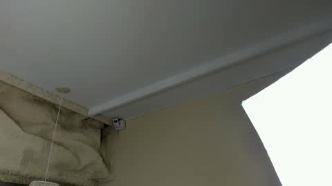 amy online show from March 2026 12:08:01 PM