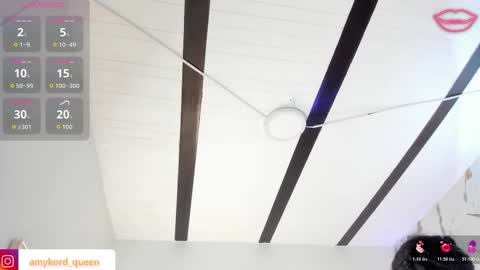 Amykord online show from November 2025 11:21:02 AM