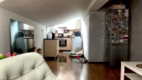 amyroberta92 online show from February 2026 08:13:01 AM