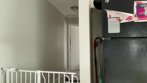 Amy Smilez online show from December 2025 05:30:01 PM