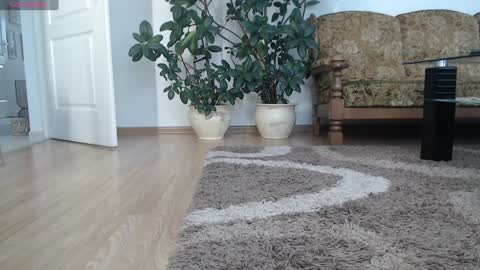 Snapshot of anabelle0904 chatting on January 2025 08:00:01 AM Ana online show from January 2025 08:00:01 AM