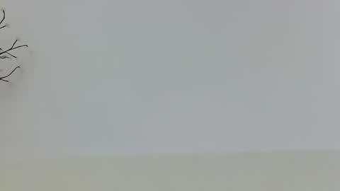 Snapshot of anaid_blaze2 chatting on November 2025 01:54:02 PM anaid_blaze2 online show from November 2025 01:54:02 PM