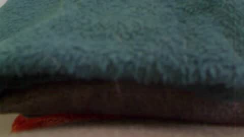 Snapshot of anaiserebel chatting on January 2025 07:34:02 AM anaiserebel online show from January 2025 07:34:02 AM