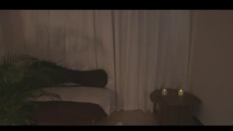 Ann online show from April 2026 07:18:02 PM