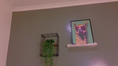 Kendra  online show from October 2025 10:18:01 AM