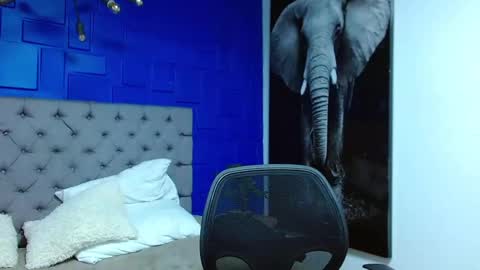 Snapshot of andre_parker chatting on March 2025 10:42:01 PM Andre Parker online show from March 2025 10:42:01 PM