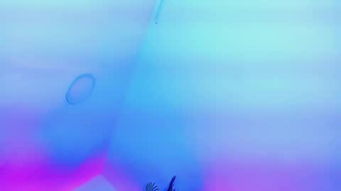 ANDREINA online show from February 2026 08:38:02 PM