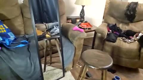 Snapshot of andrewo4277 chatting on January 2025 12:09:01 AM andrewo4277 online show from January 2025 12:09:01 AM