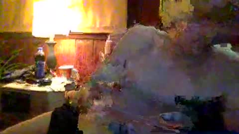Snapshot of andrewraywv42 chatting on January 2025 03:36:02 AM rayray32 online show from January 2025 03:36:02 AM