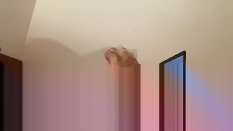 Snapshot of andysap chatting on January 2025 01:09:02 PM andysap online show from January 2025 01:09:02 PM