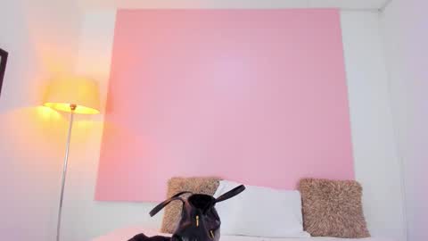 Andy  online show from January 2026 11:56:01 AM