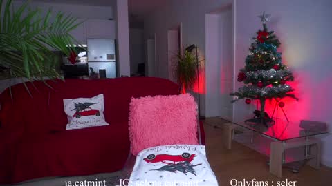 Snapshot of angelandfairieskink chatting on December 2024 07:33:02 AM Aimi Selena  Daisy online show from December 2024 07:33:02 AM