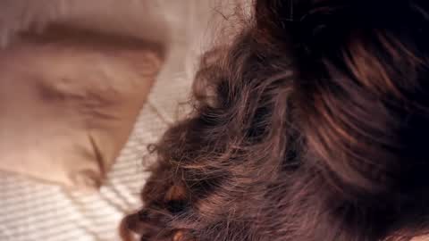 Snapshot of angelicapretybb chatting on January 2025 10:40:02 AM Angelica online show from January 2025 10:40:02 AM