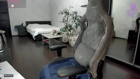 Snapshot of angelicaquiet1 chatting on November 2025 02:24:02 PM Angelica online show from November 2025 02:24:02 PM