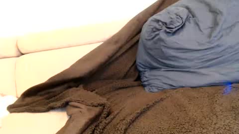 Angelica online show from November 2025 01:17:02 AM