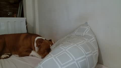 Angela online show from February 2025 09:04:01 PM