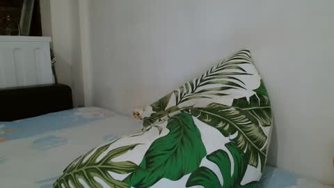 Angela online show from February 2025 12:57:02 AM