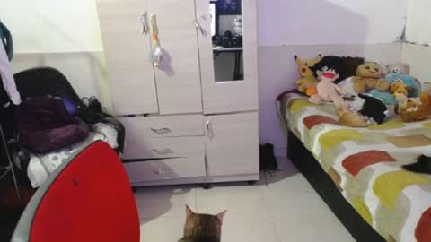 Snapshot of angelswhithe chatting on September 2025 07:06:02 PM angels online show from September 2025 07:06:02 PM