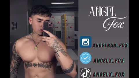 Snapshot of angelx_fox chatting on September 2025 12:26:01 PM Angel Fox online show from September 2025 12:26:01 PM