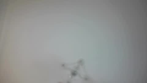 Snapshot of angry_tomato_ chatting on February 2025 03:16:01 PM Lera My next stream on November 30 online show from February 2025 03:16:01 PM