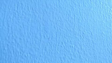 ana independent model online show from December 2024 07:03:01 AM