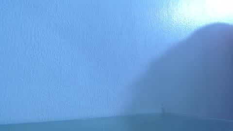 ana independent model online show from December 2024 08:12:01 AM