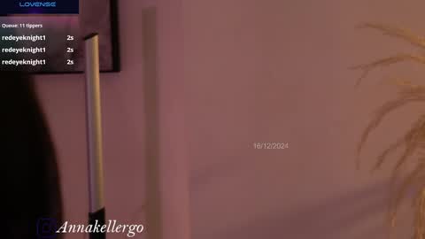 Snapshot of annakellergo chatting on December 2024 11:18:01 PM Anna k online show from December 2024 11:18:01 PM