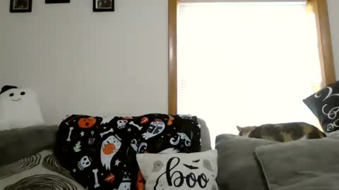 Snapshot of anne12369 chatting on October 2025 01:47:02 PM anne online show from October 2025 01:47:02 PM