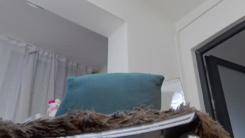 Anna online show from January 2025 11:46:01 AM