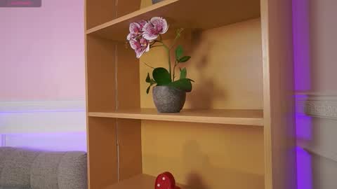 Ana online show from November 2025 11:54:01 AM