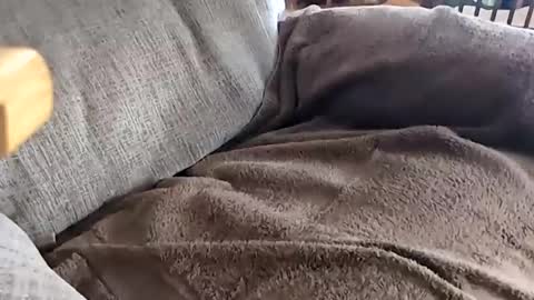 Snapshot of anonisme_54 chatting on November 2025 04:18:02 PM jay online show from November 2025 04:18:02 PM