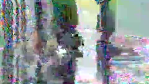 anssyboy696 online show from November 2025 07:36:02 PM