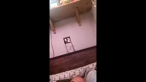 anthony9168 online show from March 2026 11:22:02 PM