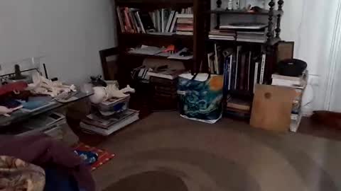 antonino85 online show from December 2024 07:11:02 PM