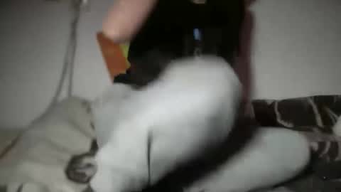 aphr0dite22 online show from January 2026 03:16:02 PM